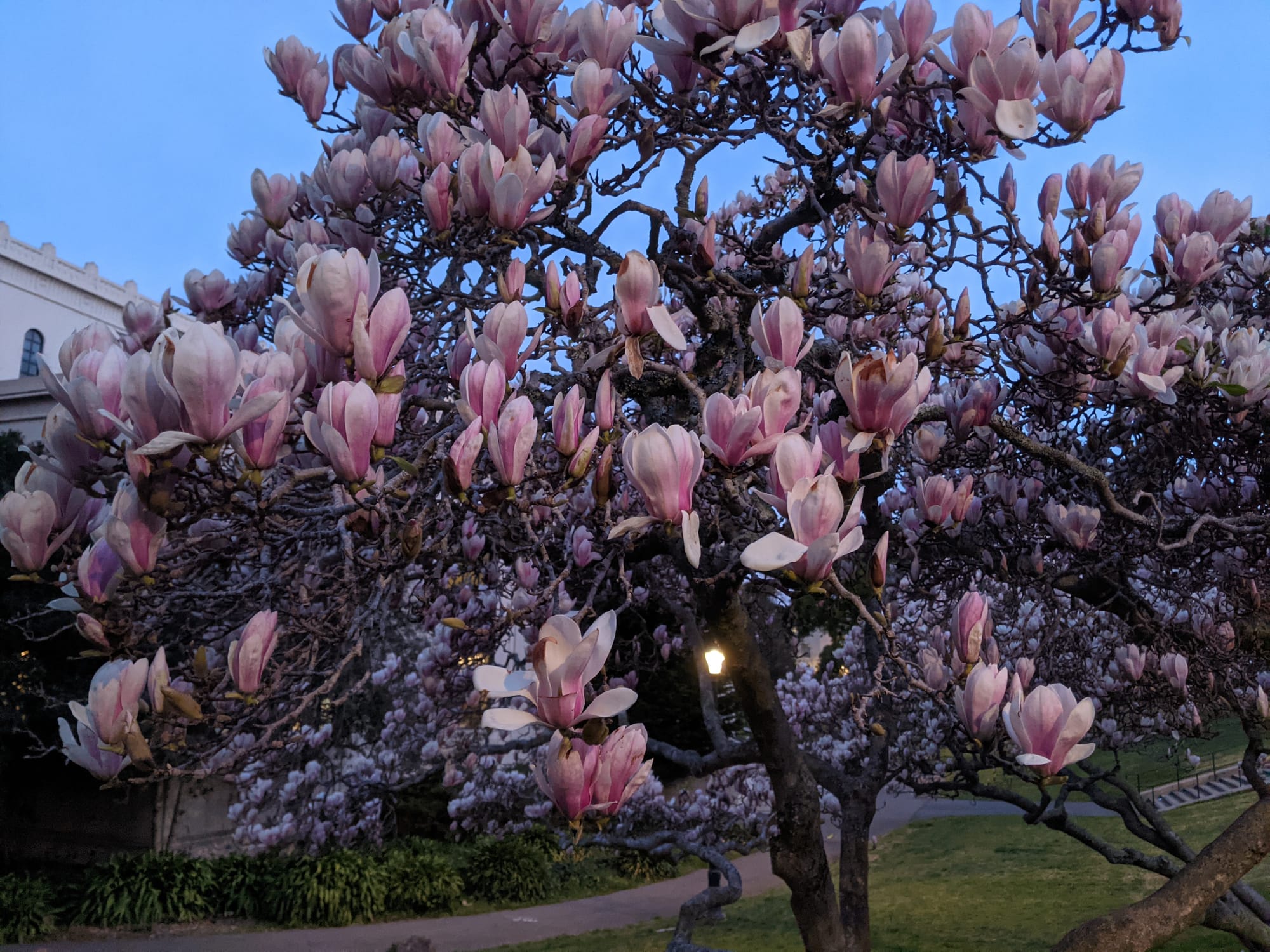 PsychSec: Survival of The Paranoid #2